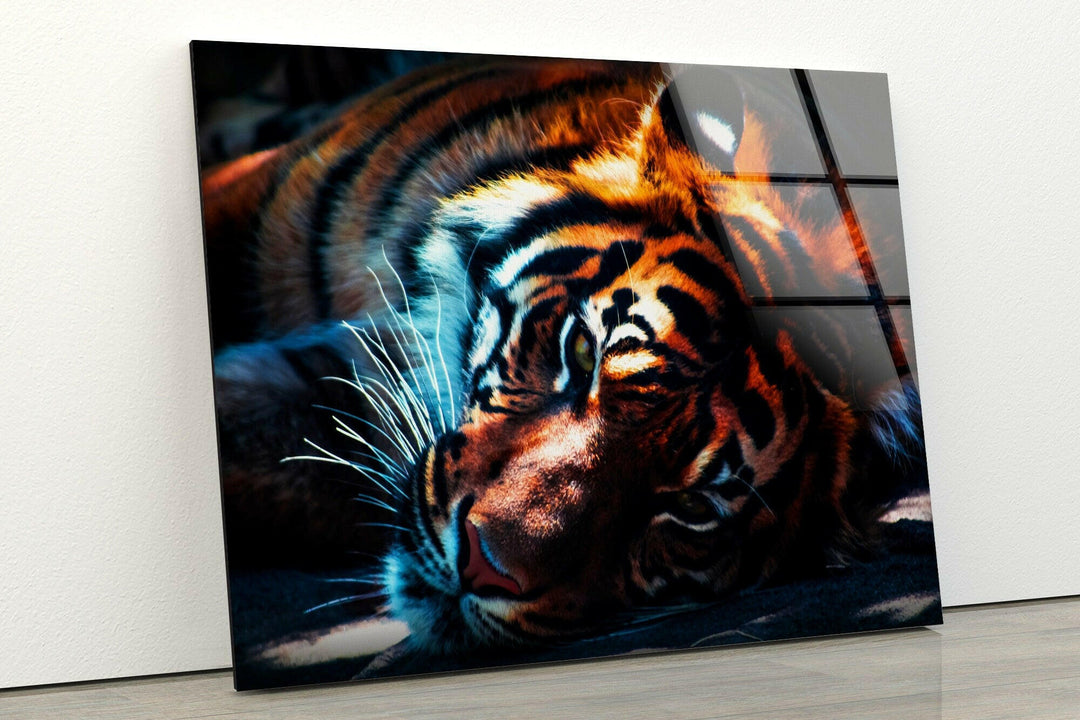 Dark Tiger Glass Wall Art custom glass pictures, glass art prints