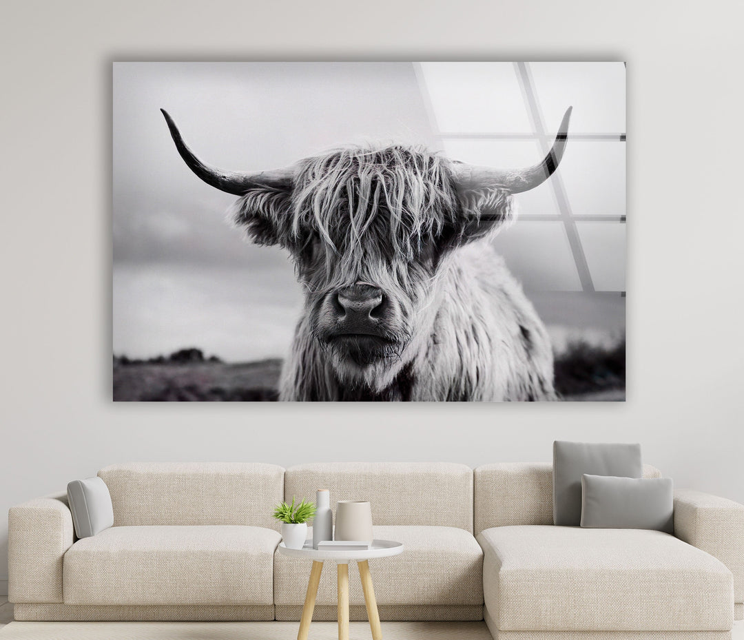 Scottish Cow Glass Wall Art art glass wall art, glass wall art pictures