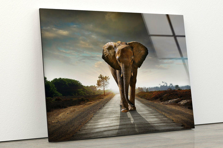 Vivid Elephant Art Glass Wall Art glass photo prints, glass picture prints