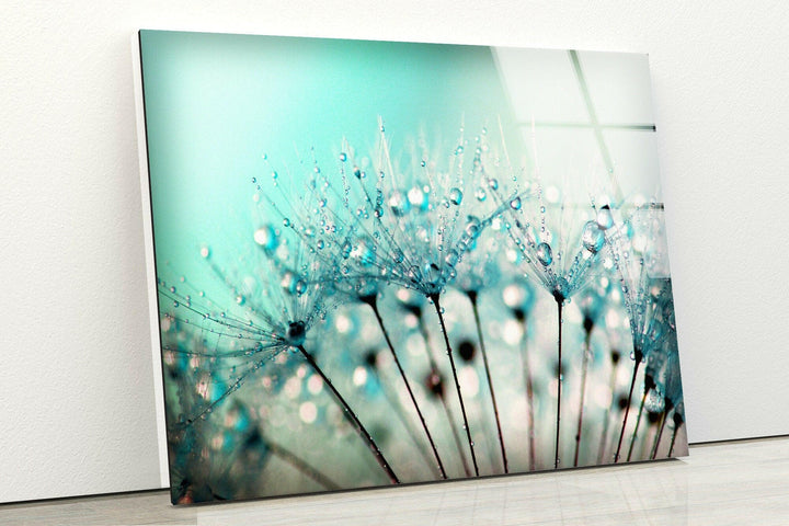 Drops On A Dandelion Glass Wall Art, custom glass photo prints, large glass prints