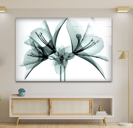 Xray Flower Glass Wall Art