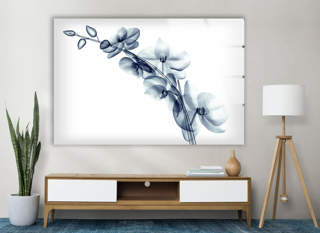 X-ray Blue Orchide Glass Wall Art, custom glass photo prints, large glass prints