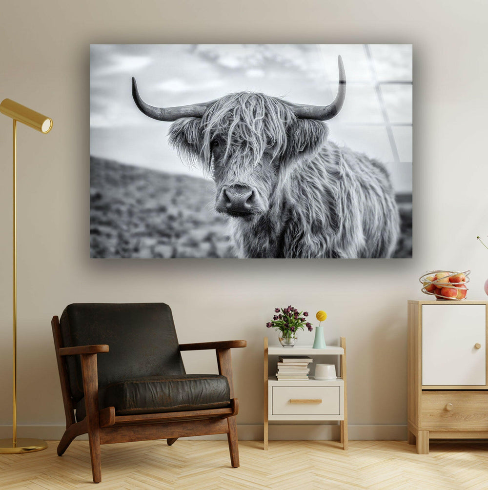 Scottish Highland Cow Glass Wall Art glass image printing, glass prints from photos