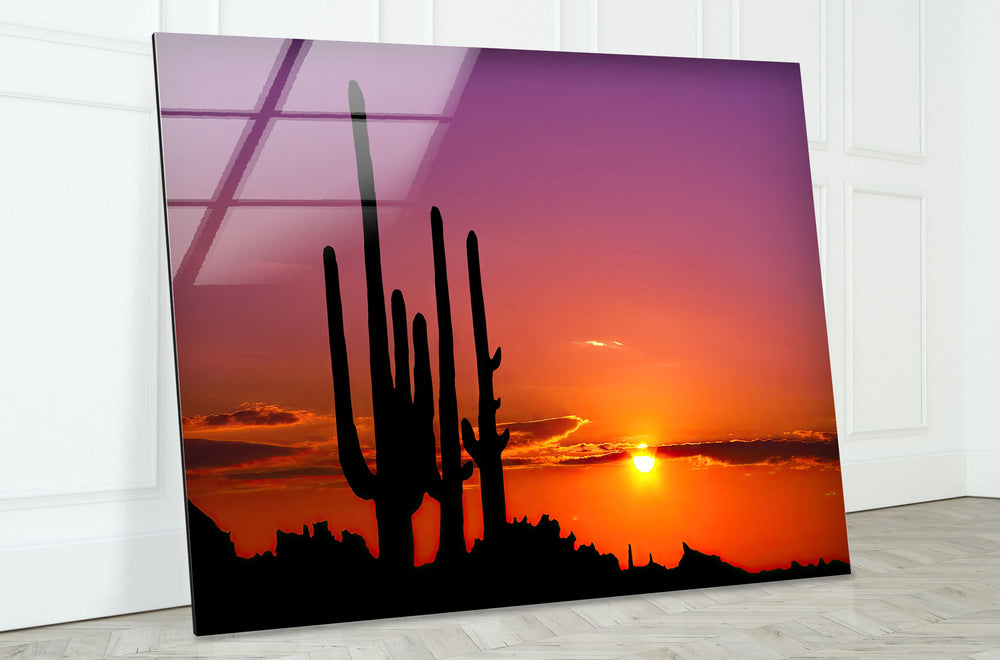 Sonoran Desert Phoenix Arizona Glass Wall Art, custom glass photo prints, large glass prints