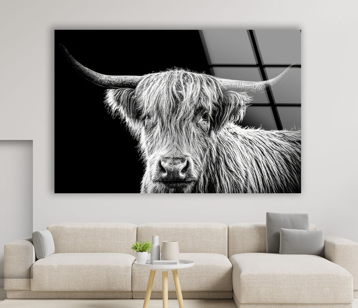 Highland Scottish Cow Glass Wall Art glass art painting, glass art for the Wall