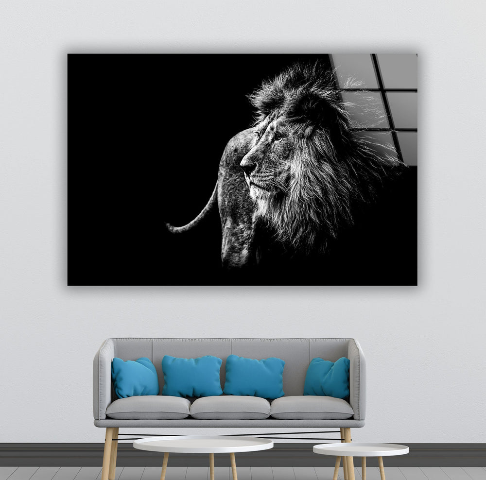 Black White Wild Animal Glass Wall Art print on glass, glass printed photos