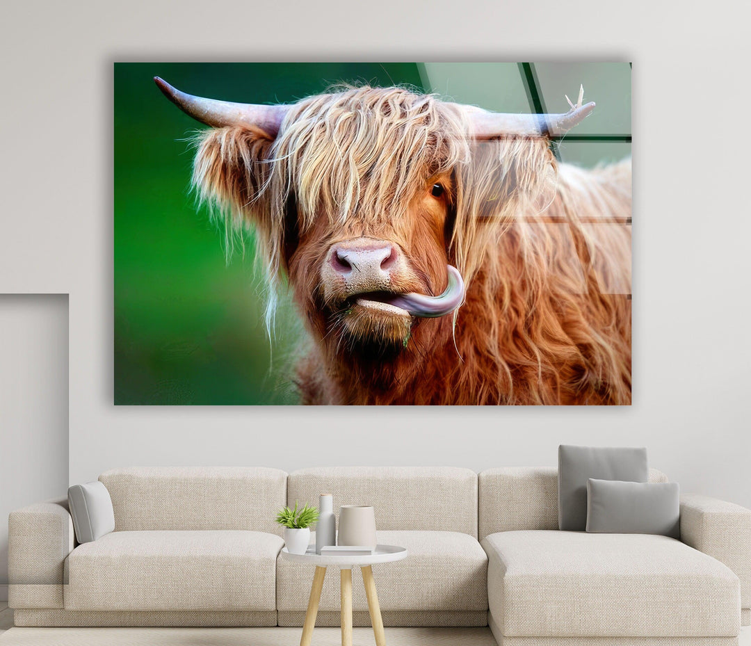 Highland Cow Glass Wall Art print on glass, glass printed photos