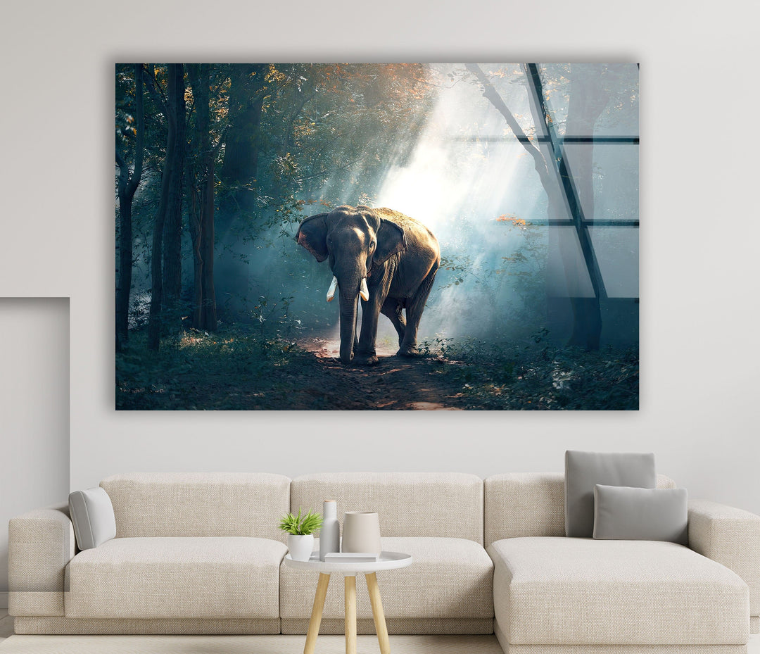 Elephant in Nature Glass Wall Art glass pictures for Wall, glass prints wall art